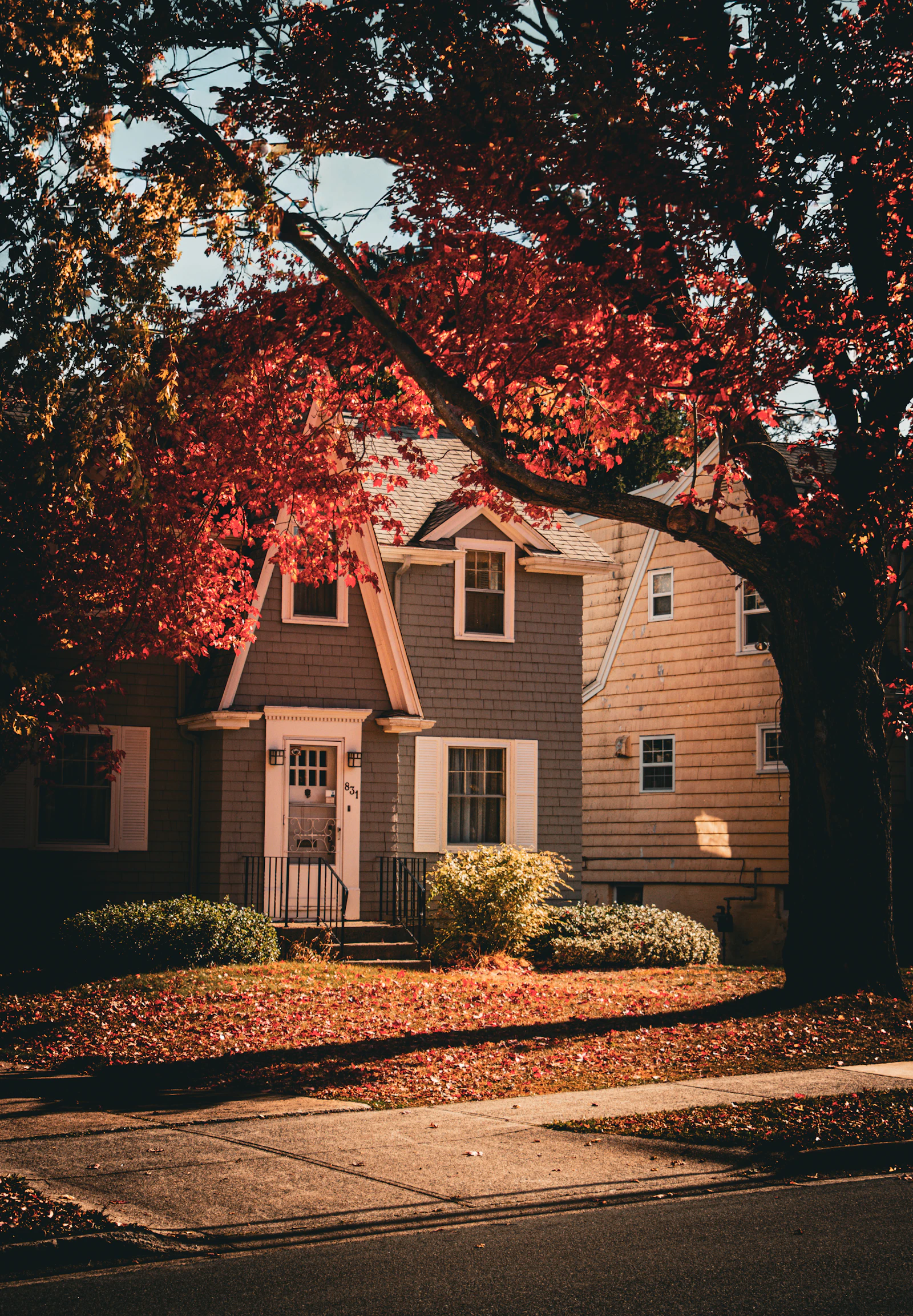 Maison entourée de feuilles d’automne pour le guide de préparation à l’hiver